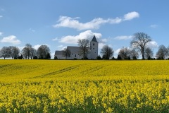 IMG_7358