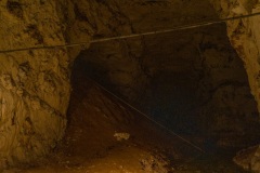 Q1000157