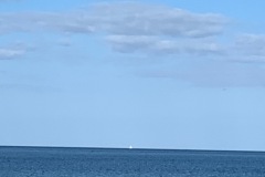 IMG_7439