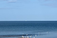IMG_7440