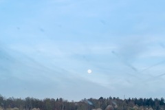IMG_7461