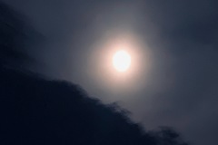 IMG_7466
