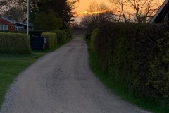 thumbs_IMG_7147