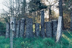 thumbs_IMG_7148