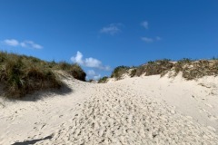 thumbs_IMG_7156