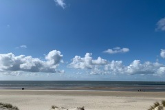 thumbs_IMG_7157