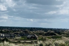 thumbs_IMG_7163