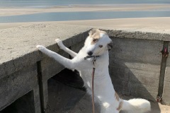 thumbs_IMG_7164