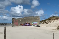thumbs_IMG_7166