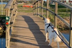 thumbs_IMG_7190