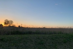 thumbs_IMG_7195