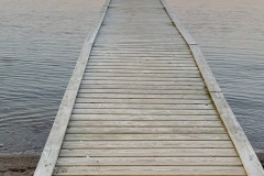 thumbs_IMG_7196