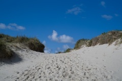 thumbs_M1001766