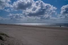 thumbs_M1001769