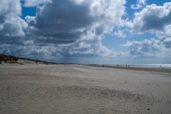 thumbs_M1001771