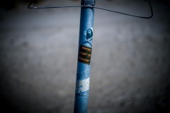 thumbs_M1001775