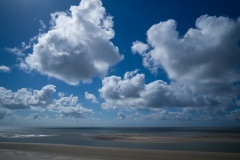 thumbs_M1001785
