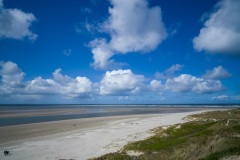 thumbs_M1001788
