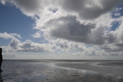 thumbs_M1001814