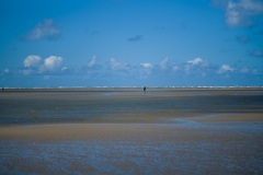 thumbs_M1001825