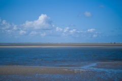 thumbs_M1001826