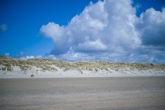 thumbs_M1001835