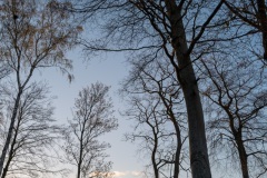 thumbs_Q1000023