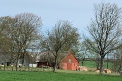 IMG_7213