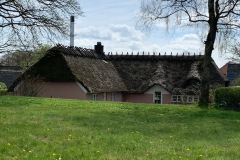 IMG_7215
