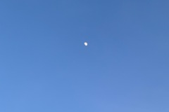 IMG_7320