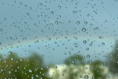 IMG_6982
