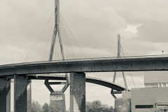 IMG_6989