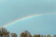 IMG_6996