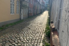 IMG_7003