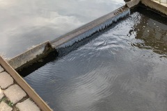 IMG_7009